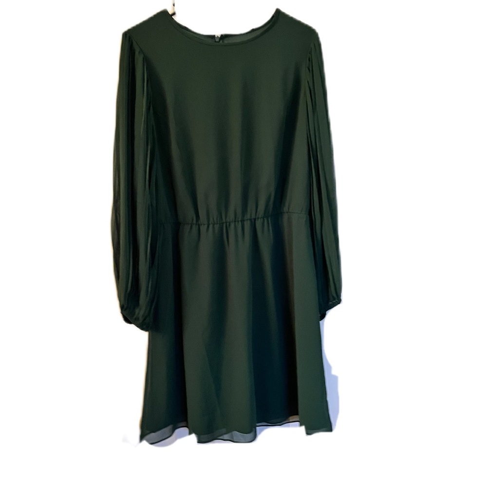 This dress has beautiful pleated sheer flutter sleeves.